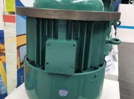 軸電流量對(duì)龍門(mén)吊電機(jī)的損壞有多大？